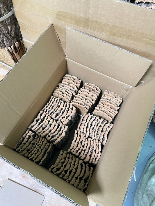 Cork Sheet - OEM対応商品